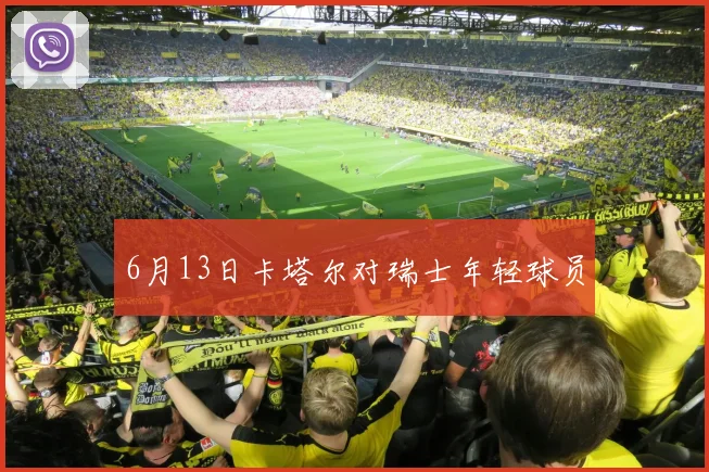 6月13日卡塔尔对瑞士年轻球员