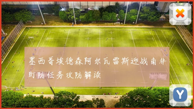墨西哥埃德森阿尔瓦雷斯迎战南非盯防任务攻防解读