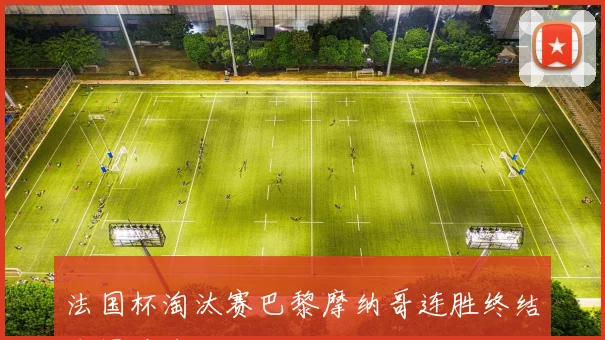 法国杯淘汰赛巴黎摩纳哥连胜终结燃爆看台