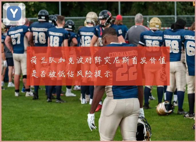 荷兰队加克波对阵突尼斯首发价值是否被低估风险提示